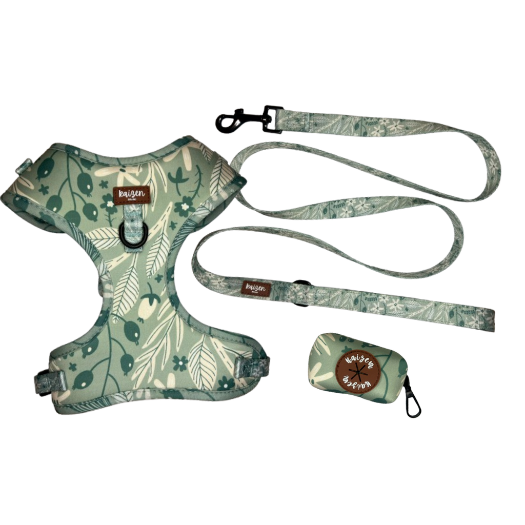 Pack AHORRO MINT MEADOWS
